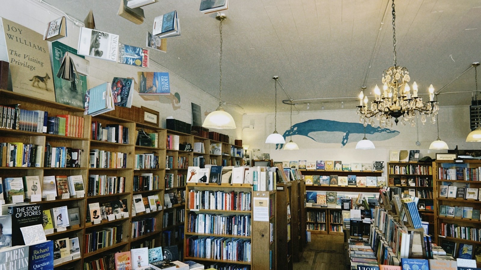 What Music Should a Bookshop Play? The Research Is Counterintuitive