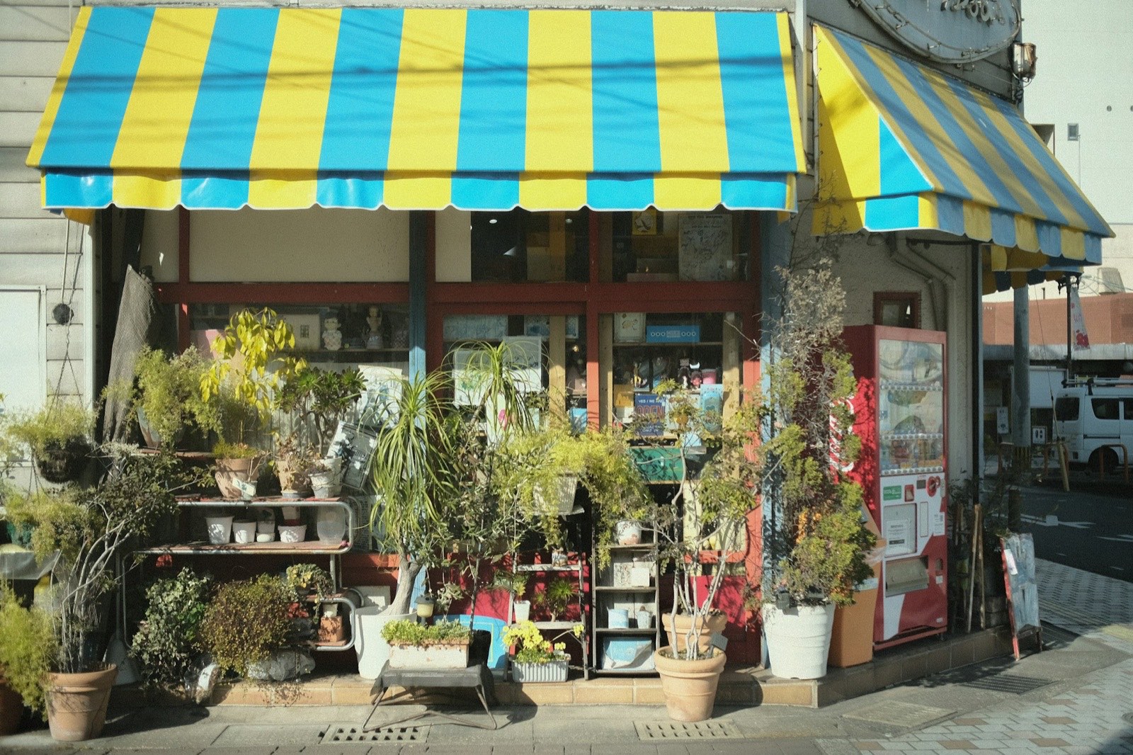 Interior of a small independent retail store with curated displays